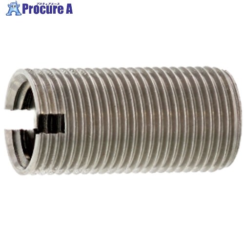 SUNCO SUS303 ROHSイリサートSW (P＝1.0 M6X12 (100本入) N0-02-0THS-0060-0120-00 1箱 ■▼497-1664 【貨物輸送都度積もり書き】