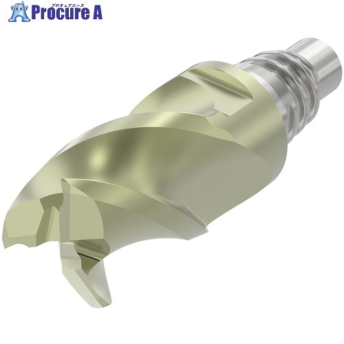 セコ XーHead 頭顱_XSE450_2 Chamfer AXT XSE450E12120D2CZ3  AXT 1個 ■▼714-4249 【貨物輸送都度積もり書き】