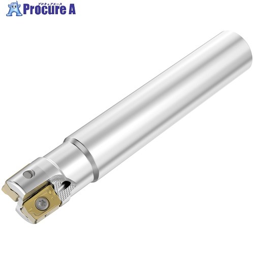 セコ フライスカッタ R217.64-ZO11 R217.64-2020.0-ZO11-2A 1個 ■▼715-1864 【貨物輸送都度積もり書き】