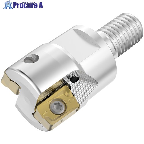 セコ フライスカッタ R217.64-ZO11 R217.64-1020.RE-ZO11-2A 1個 ■▼715-3371 【送料都度見積】