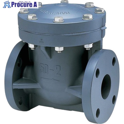 アサヒAV スイングチェックバルブ HI-PVC/EPDM 10K65A VSCORIEF1065 1個 ■▼715-2705 【貨物輸送都度積もり書き】