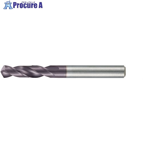 GUHRING 3&times;D用 超硬ドリル FIREコーティング 3.05mm 2463 3.050 1本 ■▼729-4784 【送料都度見積】｜プロキュアエース