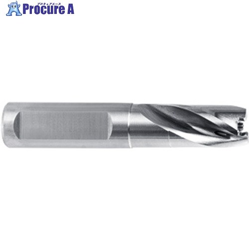 GUHRING BT 800 ドリルホルダ 1.5xD ホルダサイズ100 8150 10.005 1本 ■▼730-7208 【送料都度見積】|プロキュアエース