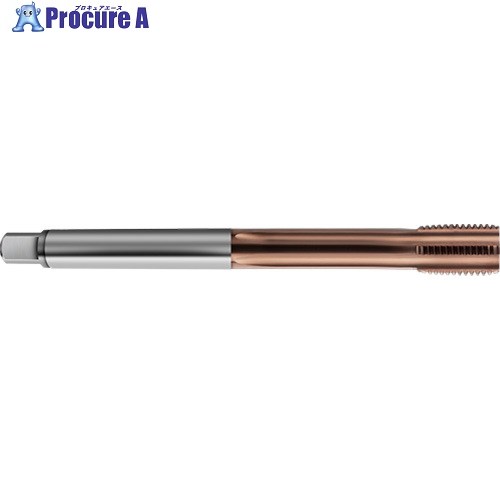 GUHRING 米突並目ねじ用水道栓 ロング AlCrN厚地の外套 M33×3.5 8314 33.000 1本 ■▼733-9441 【貨物輸送都度積もり書き】
