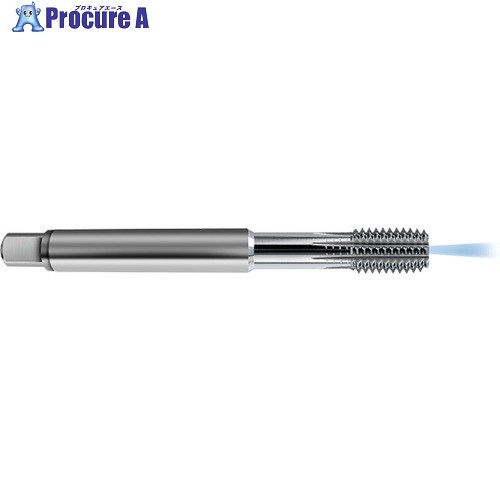 GUHRING フォーミングタップ ISO 米突並目ねじ アキシャルクーラント穴付き添い人 M24×3.0 8325 24.000 1本 ■▼734-5777 【貨物輸送都度積もり書き】