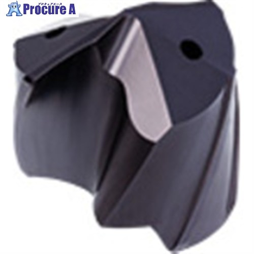 GUHRING BT 800 パイロット穴加工用ドリルヘッド ホルダサイズ210用 8162 21.430 1個 ■▼736-4116 【送料都度見積】|プロキュアエース