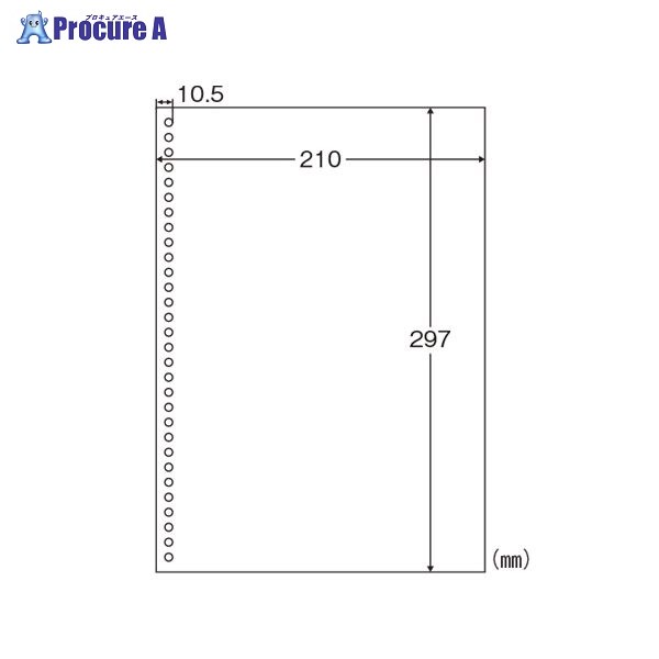 ヒサゴ Ａ４白紙 ３０穴 ２５００枚入り BPE2049 ▼32706 ヒサゴ(株) ●a559