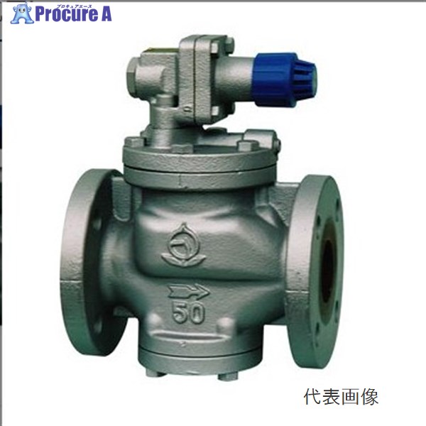 ﾍﾞﾝ RP6-B もの言う花 FC/青銅減圧弁【ﾌﾗﾝｼﾞ･蒸気船用･(0.03～0.8MPa)】20A RP6-B 20A ▼1015720 ベン●i547