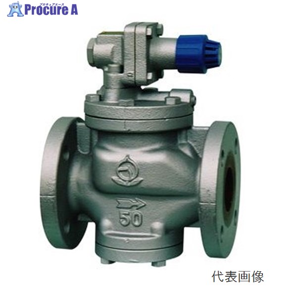 ﾍﾞﾝ RP6-G もの言う花 FC/SUS減圧弁【ﾌﾗﾝｼﾞ･蒸汽船用(0.03～0.8MPa)】40A RP6-G 40A ▼1016134 ベン●i547