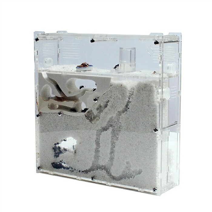 アリ飼育キット 砂巣 爬虫類飼育ケース アリの巣観察キット 科学試験アリ工房の家の生態家屋箱蟻用飼育ケース アリ飼育セット(砂は別売