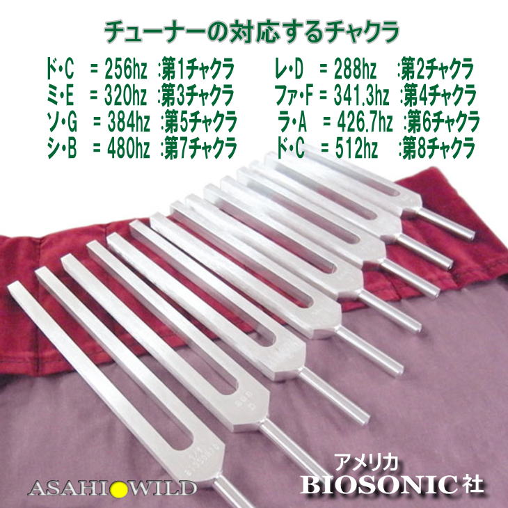 室外 BioSonic 社製 ハイグレード 陰陽五行チューナー 5本セット