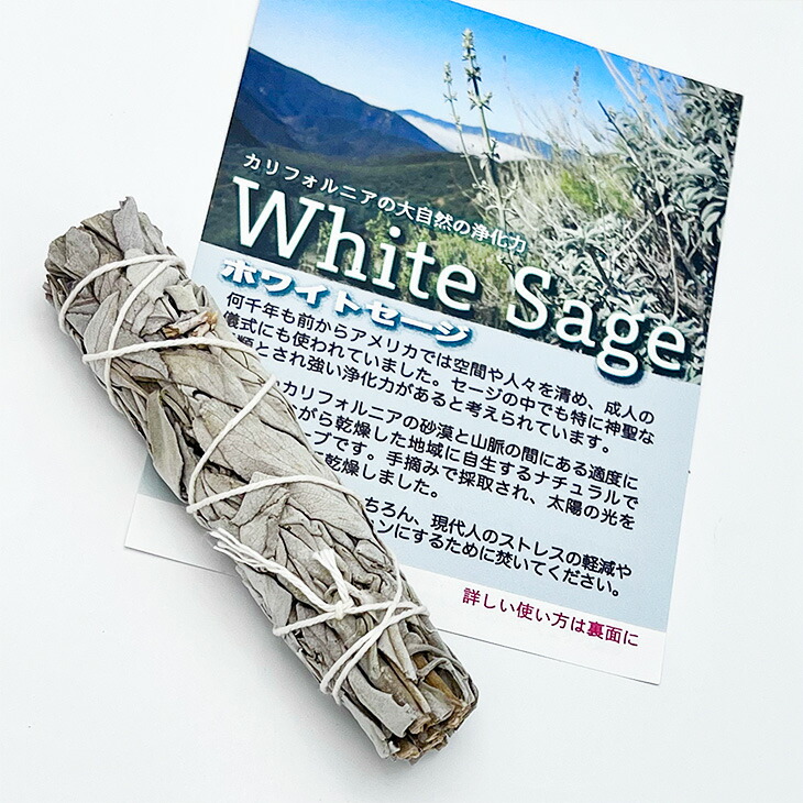 ★限定特選品★無農薬カリフォルニア産【高品質ホワイトセージワンド】❤️ 楽天市場】ホワイトセージ【18g〜25g】ミニワンド【送料込み