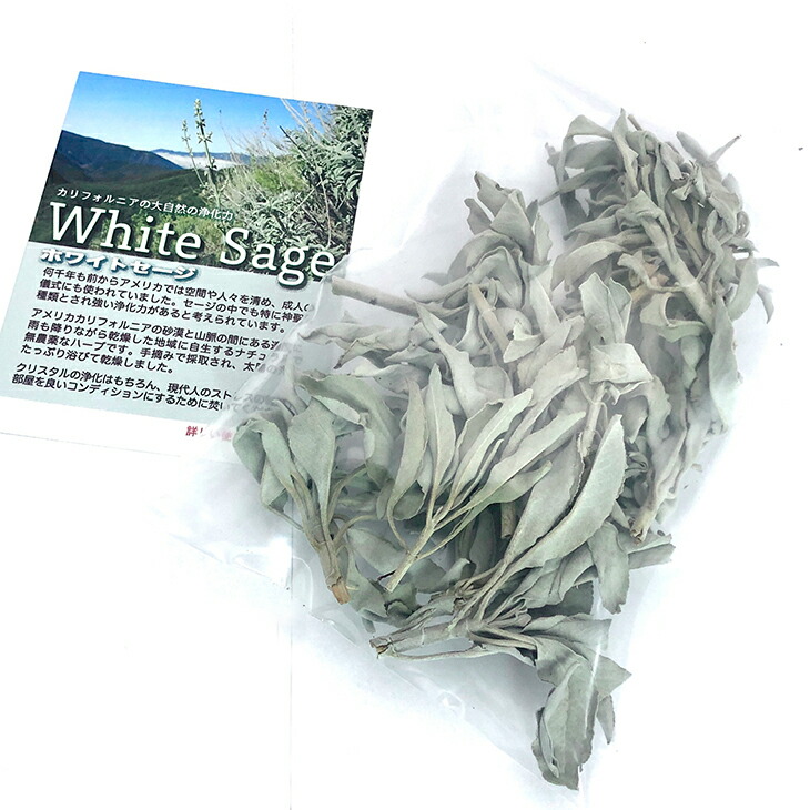 ホワイトセージ30ｇパック５個セット【卸】クラスター【業務用】癒やし【カリフォルニア産】無農薬【ヒーリング】アメリカ【ドライ】癒し【楽天最安値に挑戦】芳香【燻す】ハーブ【浄化用】プロ用【業務用】癒やし