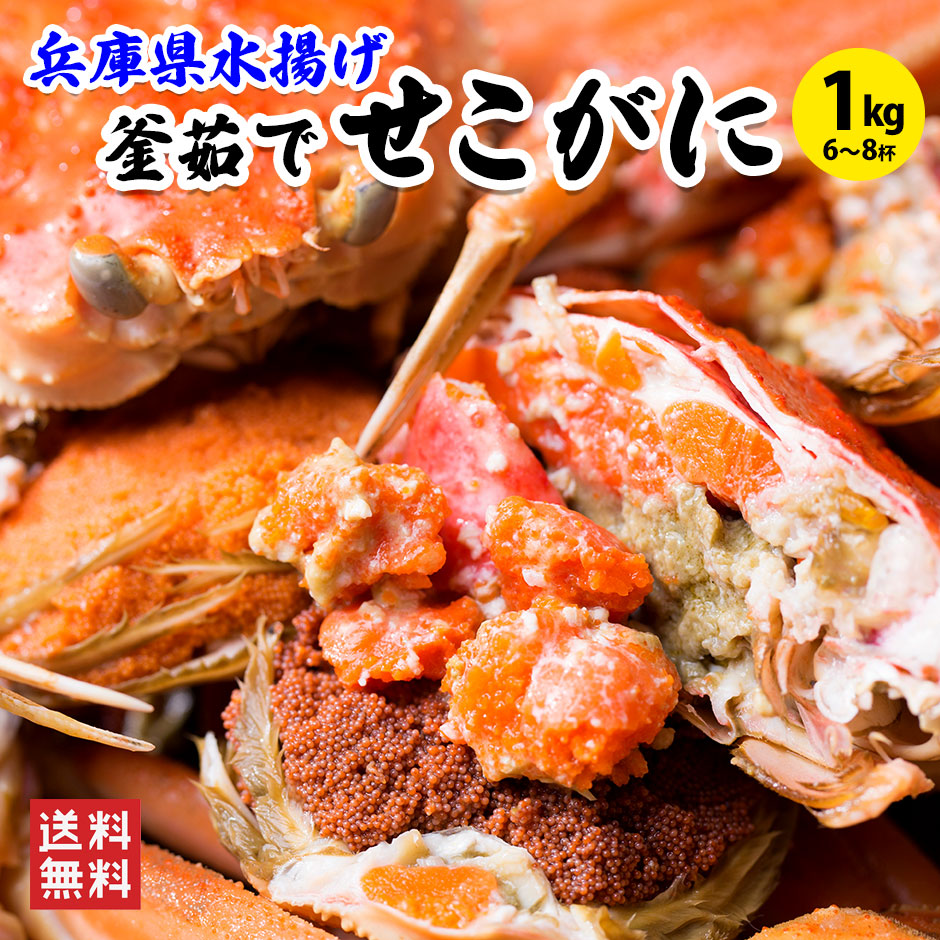 レビュー500件以上　釜茹でセコガニ1kg前後（6～8杯・指折れ含む） 送料無料 兵庫県 城崎温泉 カニ かに せこがに 香箱ガニ セイコガニ 訳あり ズワイガニ かにみそ 松葉ガニ 越前ガニ せいこ蟹  コッペガニ 津居山 柴山
