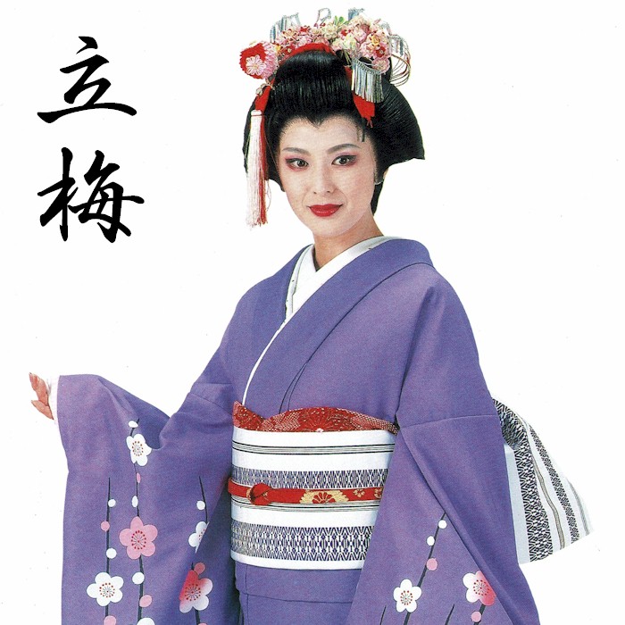 裾引き 裾一重 k芸22107 日本舞踊 お取り寄せ商品 着物 裾引 日舞 舞台 
