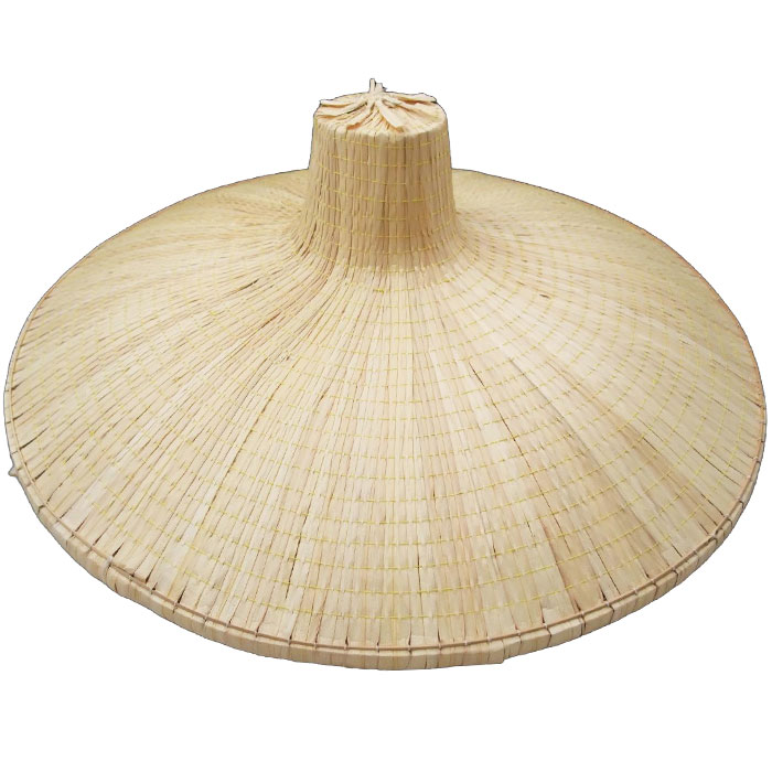 楽天市場】藤娘 振出し笠 セット 手持笠 2点セット 踊り 小道具 古典