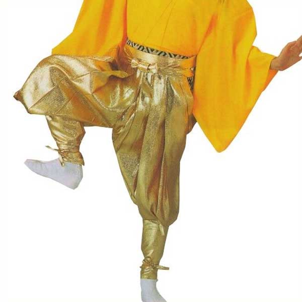 楽天市場】南京玉すだれ 無地 袖なし半纏 帽子 セット 踊り 衣裳