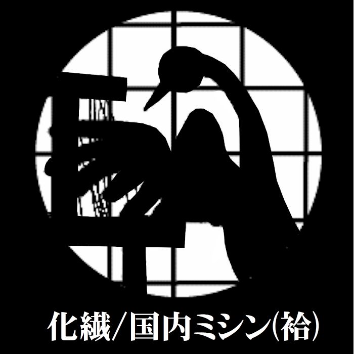 浅草人だかり 各バス発着場のその人の特徴とごお引き回し