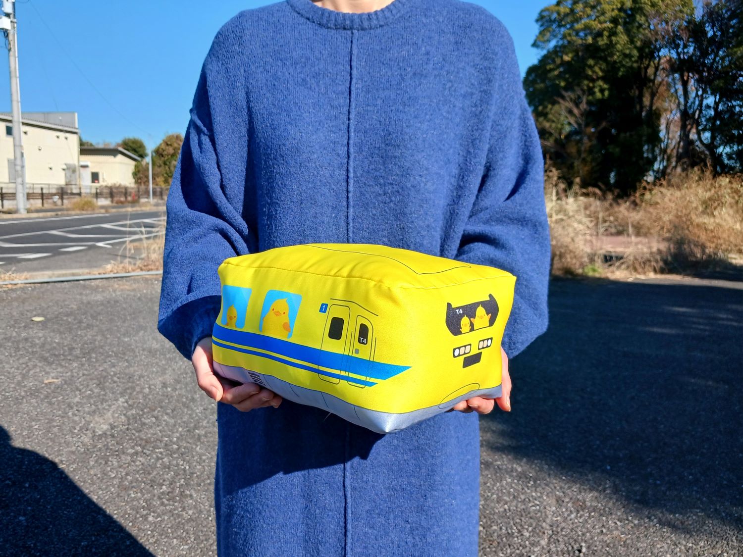 送料無料】【数量限定】□923形ドクターイエロー引退記念・アート