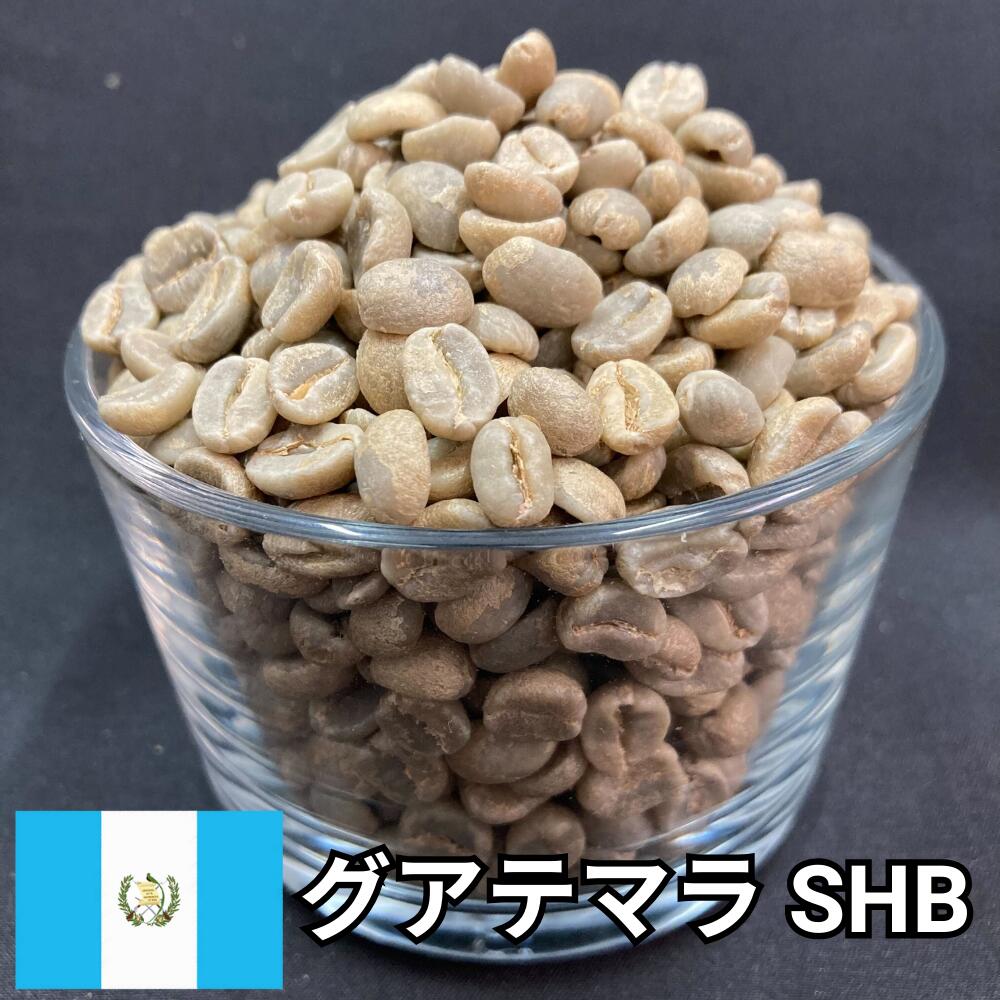 【送料無料】 コーヒー生豆 グアテマラ SHB ウォッシュト 800g 2kg 5kg 10kg | スペシャルティコーヒー 珈琲生豆 自家焙煎 豆 最高等級 高地栽培 チョコレート 柑橘 コク 甘み バランス 高級 業務用 大容量【レビュー投稿で20%OFFクーポン】