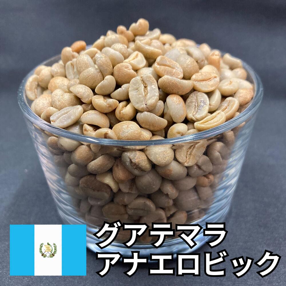 【送料無料】 コーヒー生豆 グアテマラ アナエロビック ナチュラル 800g 2kg 5kg 10kg | スペシャルティコーヒー 珈琲生豆 自家焙煎 豆 嫌気性発酵 ワイン トロピカルフルーツ 芳醇 希少 高級 業務用 大容量【レビュー投稿で20%OFFクーポン】
