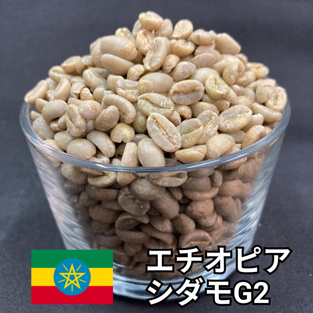 【送料無料】 コーヒー生豆 エチオピア シダモ G2 ウォッシュト 800g 2kg 5kg 10kg | モカ スペシャルティコーヒー 珈琲生豆 自家焙煎 豆 紅茶 レモン 柑橘 フローラル 爽やか 酸味 すっきり 業務用 大容量【レビュー投稿で20%OFFクーポン】