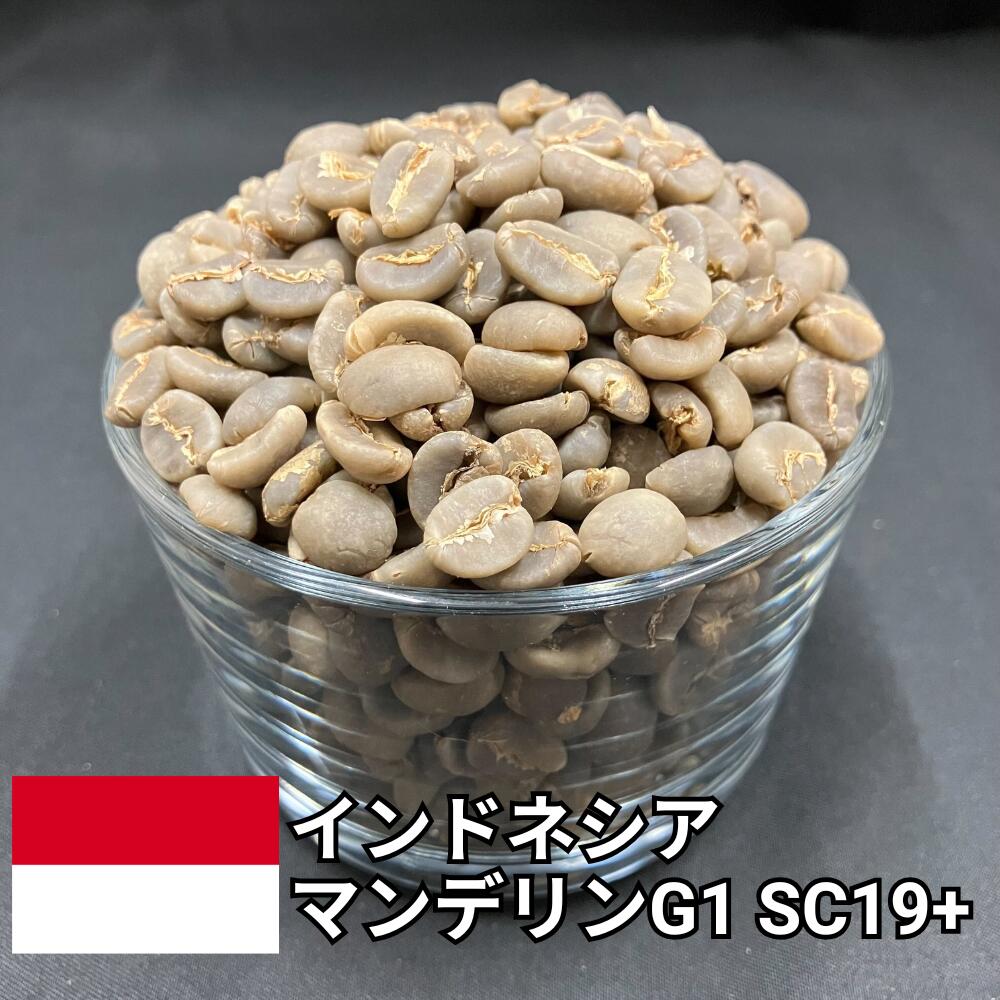 【送料無料】 コーヒー生豆 インドネシア マンデリン G1 スクリーン19アップ スマトラ式 800g 2kg 5kg 10kg | スペシャルティコーヒー 珈琲生豆 自家焙煎 豆 極大粒 濃厚 コク 苦味 深煎り 業務用 大容量【レビュー投稿で20%OFFクーポン】