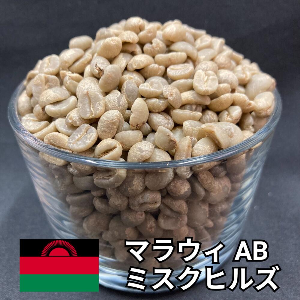 【送料無料】 コーヒー生豆 マラウィ AB ミスクヒルズ ウォッシュト 800g 2kg 5kg 10kg | スペシャルティコーヒー 珈琲生豆 自家焙煎 豆 柑橘 レモン フローラル 紅茶 上品 な 酸味 アフリカ 希少 業務用 大容量【レビュー投稿で20%OFFクーポン】