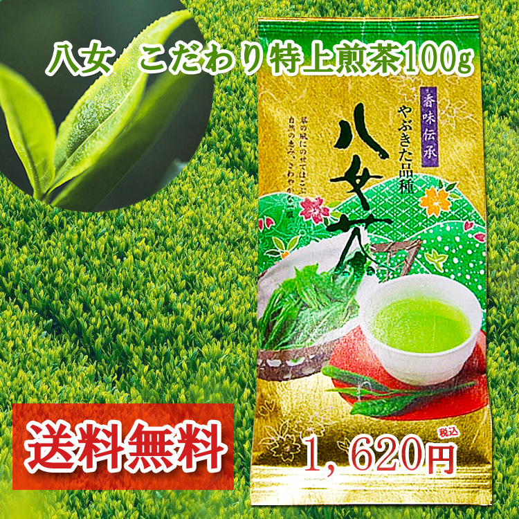 【楽天市場】【2021年新茶】特上八女茶 最 100g メール便送料無料：八女茶の製造直売 お茶の浅野園