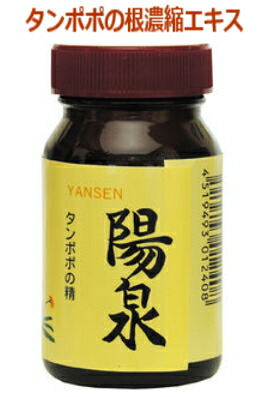 日本正食料雑貨類 蒲公英の根 陽泉（やんせん）100g 2個仕掛ける【貨物輸送無料】