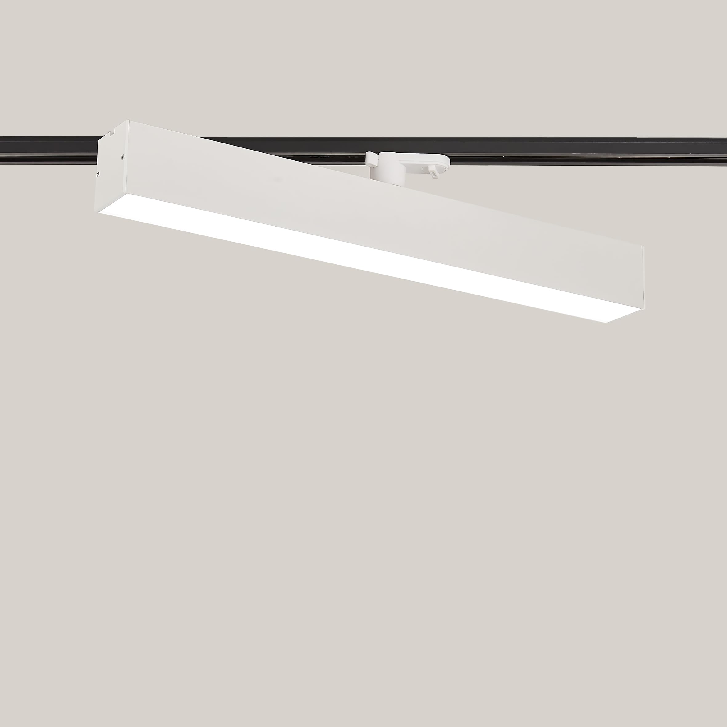 導管軌跡用御勤め用LED螢光灯、架線導管軌跡用点火装置物の具、原則として型ダクトトラックライト、点火装置貨物自動車点火装置、併設点火装置、ちらつきなし、高光最終生産物2900ルーメン、20W照明ランプ2個好いかげんに、昼光色、60コマーシャル)