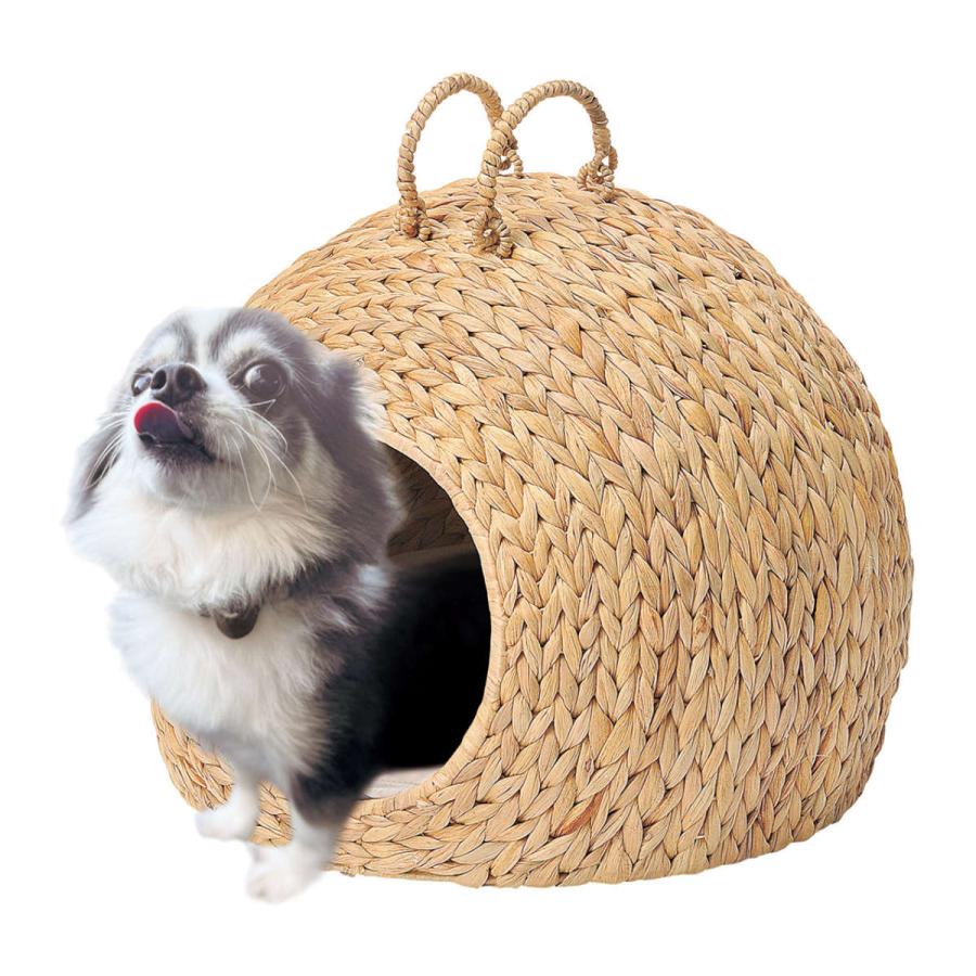 猫ベッド ヒヤシンス ちぐら ドーム 天然素材 ( ペット用バスケット ペットベッド ペットハウス 犬用 猫用 ペット用 クッション付き コンパクト おしゃれ )|Asap店