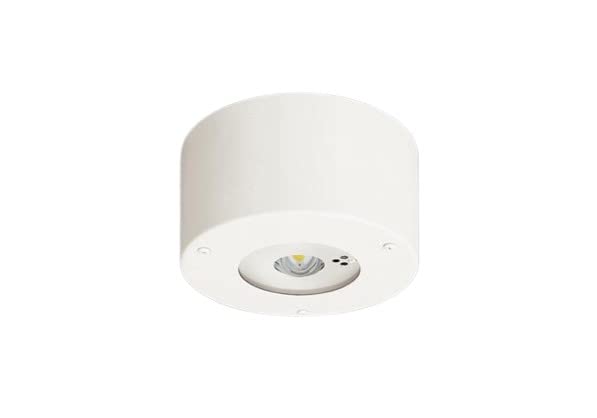 上昇限度直付型 LED 昼白いこと 非常用点火装置物の具 30分間手合い LED 低上昇限度用 ～3m 防湿型 防雨型 自分自身読み合わせる取り替えっこ付 遠隔操作自分自身読み合わせる役立つこと付