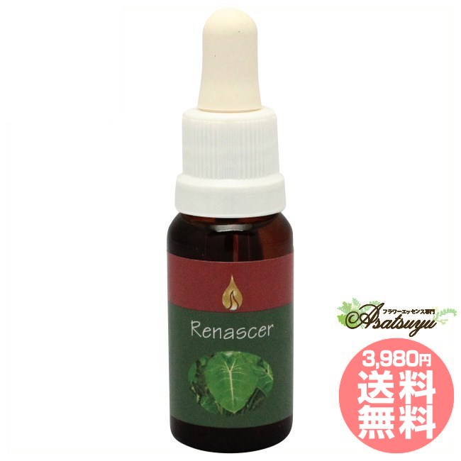 楽天市場】イバ アラレタマ レインフォレストエッセンス