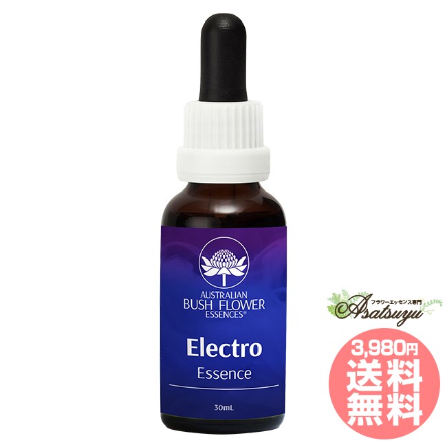 楽天市場】#15 大天使ミカエル Archangel Michael アンジェリック