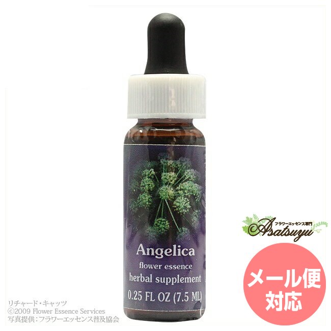 楽天市場】ベビーブルーアイズ FESフラワーエッセンス クイント