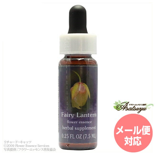 Fairy Lantern FES Flower Essence Quintessence Flower Essence