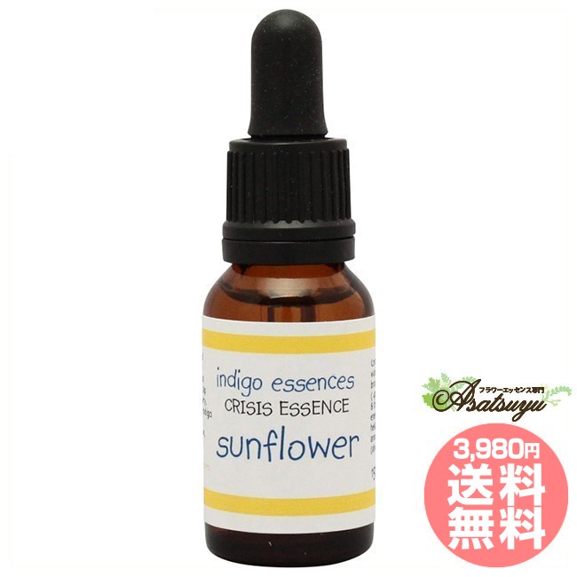 楽天市場】ラブ インディゴエッセンス コンビネーションエッセンス