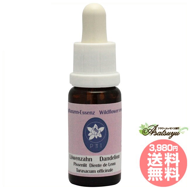 Dandelion CortePHI Essence Wildflower Essence Flower Essence