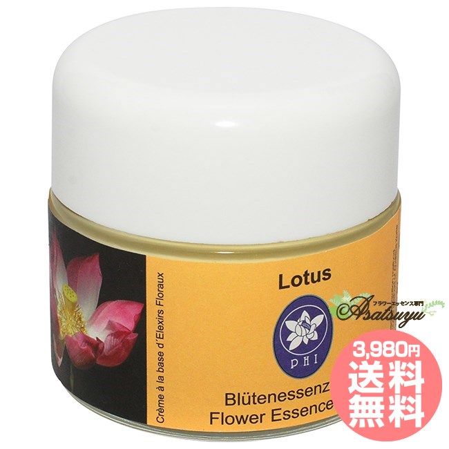 楽天市場】ビーナスオーキッドクリーム コルテPHIエッセンス