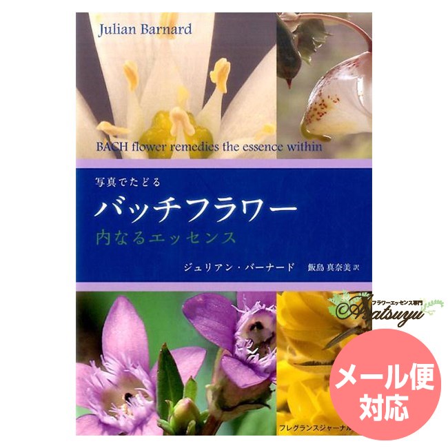 バッチフラワーエッセンス事典 楽天市場】バッチカラーテキスト 改訂版 バッチフラワーレメディ
