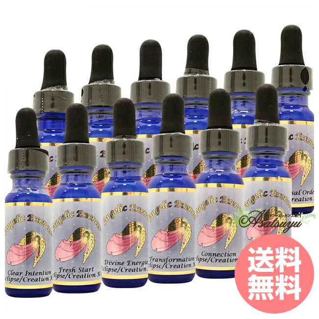 エクリプスエッセンス コズミッククリエイション 全12本 The Eclipse Essences Cosmic Creation Kit お花抽出エキス 美容・コスメ・香水-その他