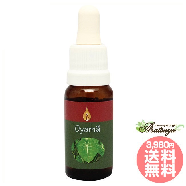 楽天市場】マモア アラレタマ レインフォレストエッセンス