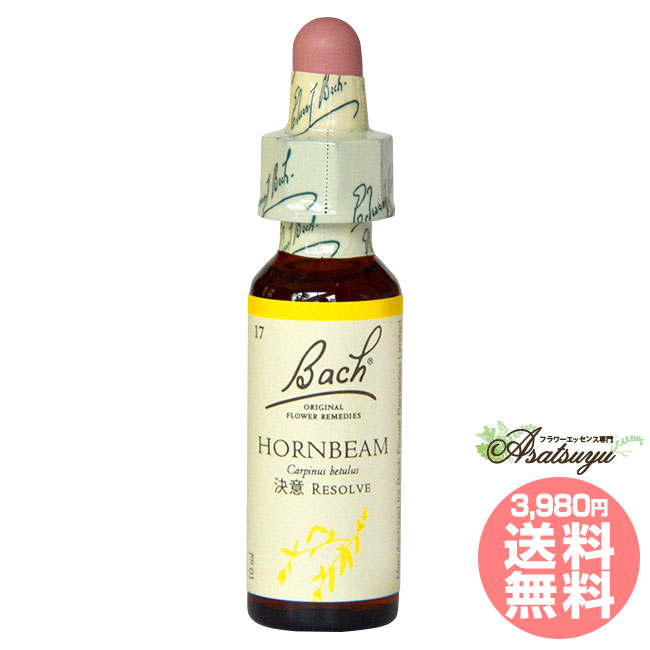 楽天市場】バッチカラーテキスト 改訂版 バッチフラワーレメディ