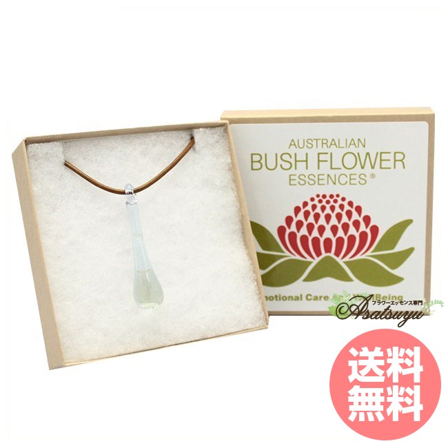 楽天市場】サイキックプロテクションエッセンス入り ペンダント