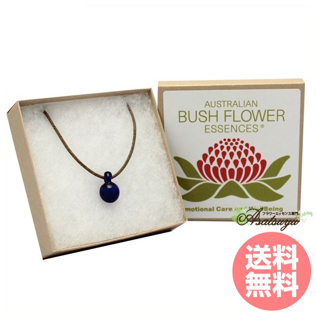 専用】サイキックプロテクションペンダント（パープル）ブッシュ　フラワーエッセンス サイキックプロテクションペンダント(パープル）オーストラリア