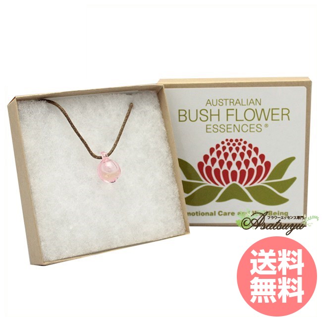 専用】サイキックプロテクションペンダント（パープル）ブッシュ　フラワーエッセンス サイキックプロテクションペンダント(パープル・子供用)[Psychic