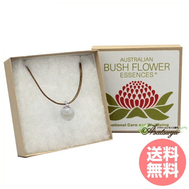 楽天市場】サイキックプロテクションエッセンス入り ペンダント