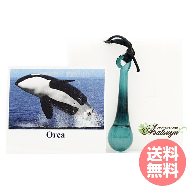 【専用】イルカ(デルフ)のペンダントとフラワーエッセンス　コルテPHI　他 専用】イルカ(デルフ)のペンダントとフラワーエッセンス コルテPHI 他