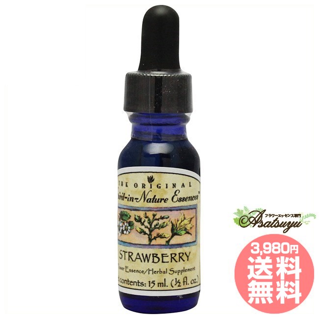 楽天市場】ピュリフィケーション 30ml アラスカン・エッセンス